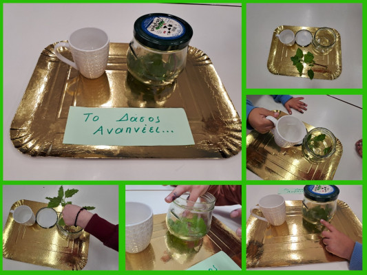 Δραστηριότητα STEM – "Το Δάσος Αναπνέει"